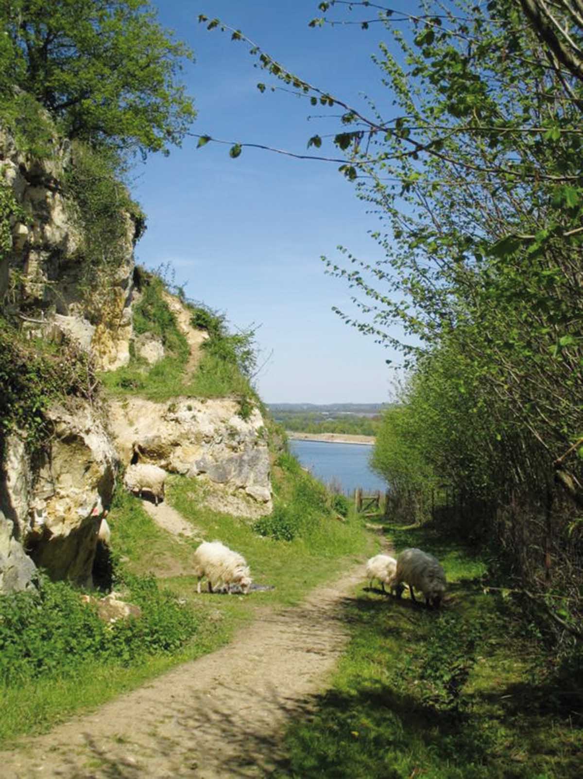musee-montagne-st-pierre-rallye-ph0709