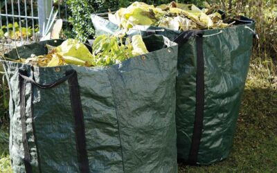 Reprise de la collecte hebdomadaire des déchets verts 
