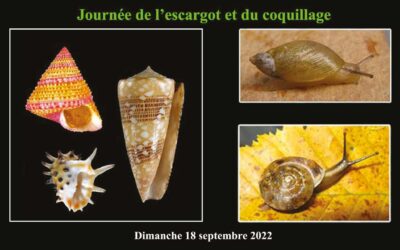 JOURNÉE DE L’ESCARGOT ET DU COQUILLAGE