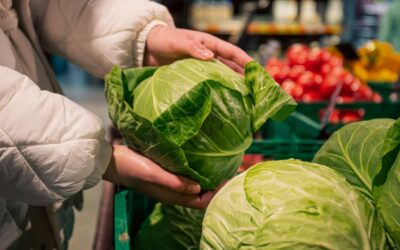 ÉPICERIE SOCIALE À VISÉ
