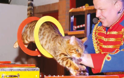 Zoltan Events présente son Circus show