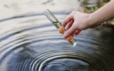 Qualité de l’eau de distribution 