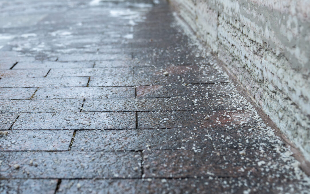 Entretien des trottoirs et des accotements 