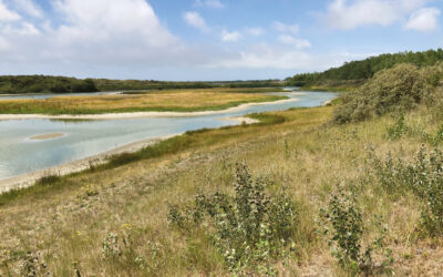 Besace Oupeye : Arras et la Baie de Somme