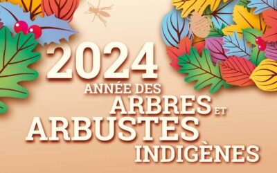 Journée de l’Arbre – Le samedi 23 novembre 2024