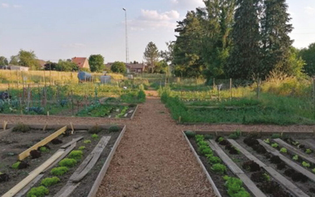 Potager Communautaire de Cheratte Hauteur