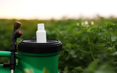 Les pesticides dans notre environnement