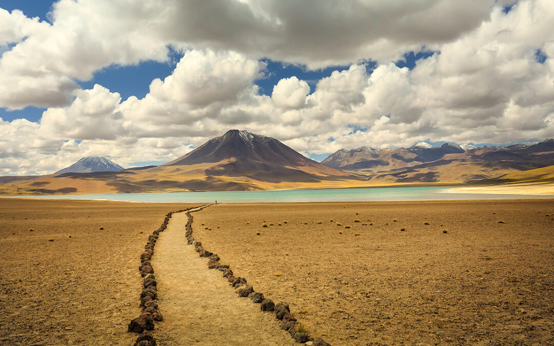 Équateur : terre de diversité