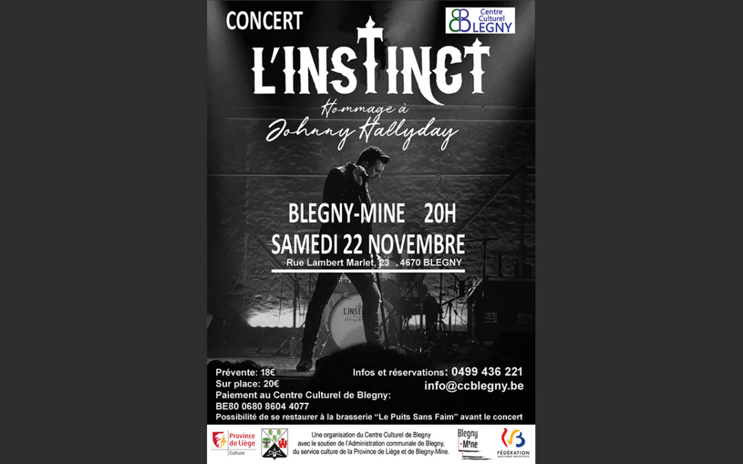 Concert « Hommage à Johnny Hallyday » le samedi 22 novembre