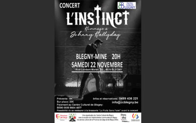 Concert « Hommage à Johnny Hallyday » le samedi 22 novembre