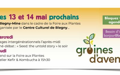 Festival Graines d’Avenir, par BE21