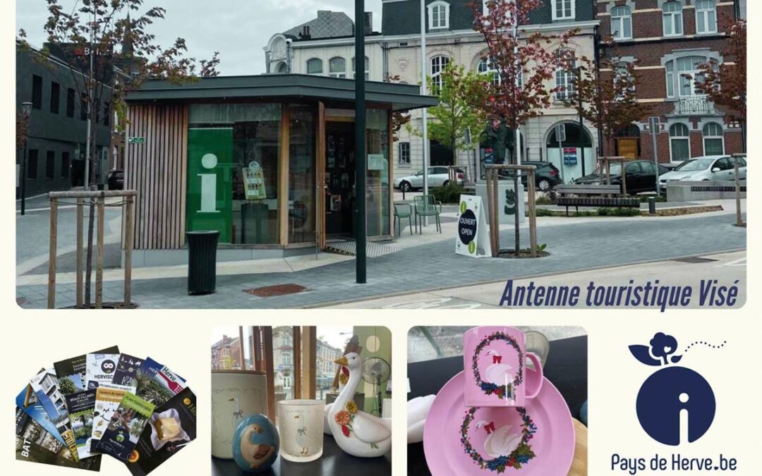 Des oies à l’antenne touristique… 