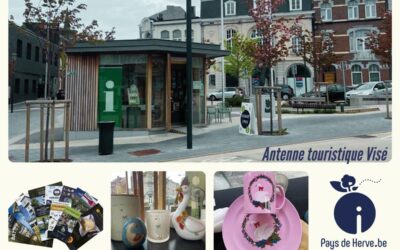 Des oies à l’antenne touristique… 