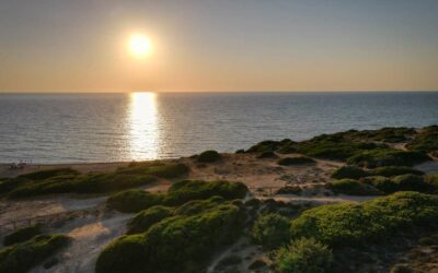 Asbl Voyages et Loisirs