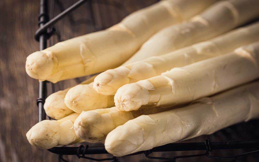 Les jardins du Château d’Arcen et repas aux asperges