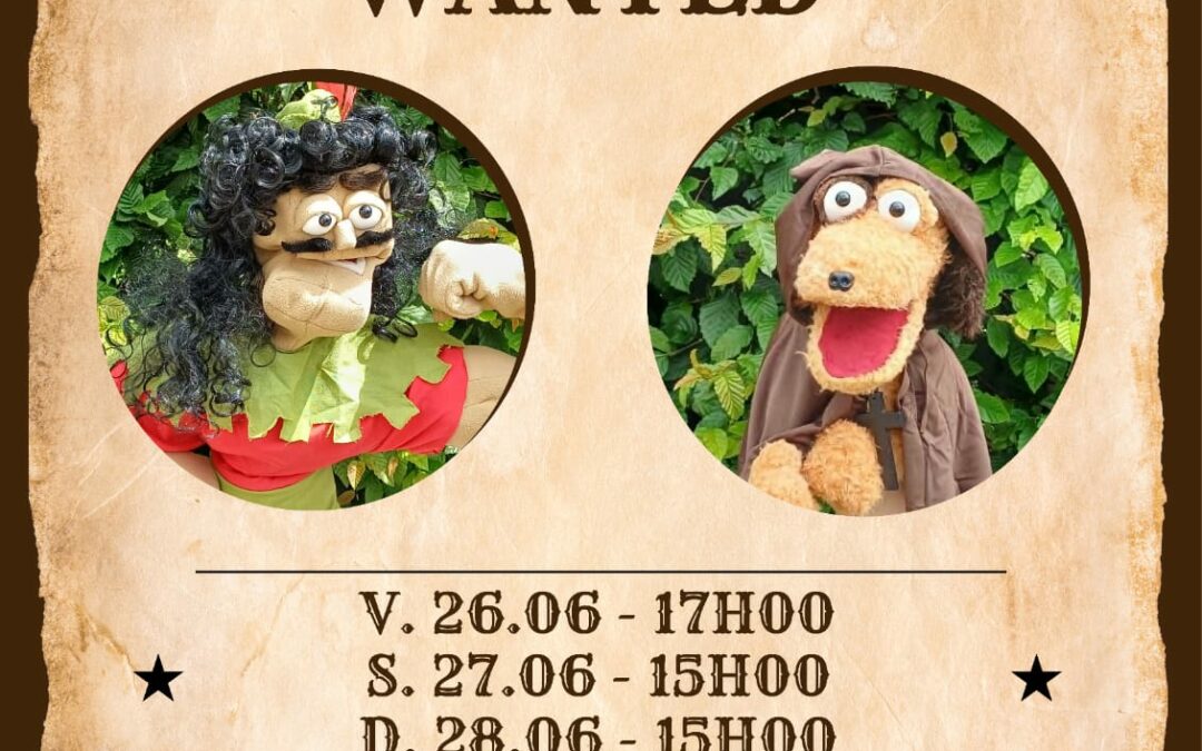 Les élèves farfelus du cours théâtre d&rsquo;une académie, portés par leur pauvre professeur, tentent de boucler leur pièce de fin d&rsquo;année : Robin des bois !