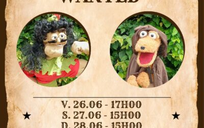 Les élèves farfelus du cours théâtre d&rsquo;une académie, portés par leur pauvre professeur, tentent de boucler leur pièce de fin d&rsquo;année : Robin des bois !
