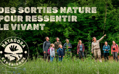 Des sorties nature pour ressentir le vivant